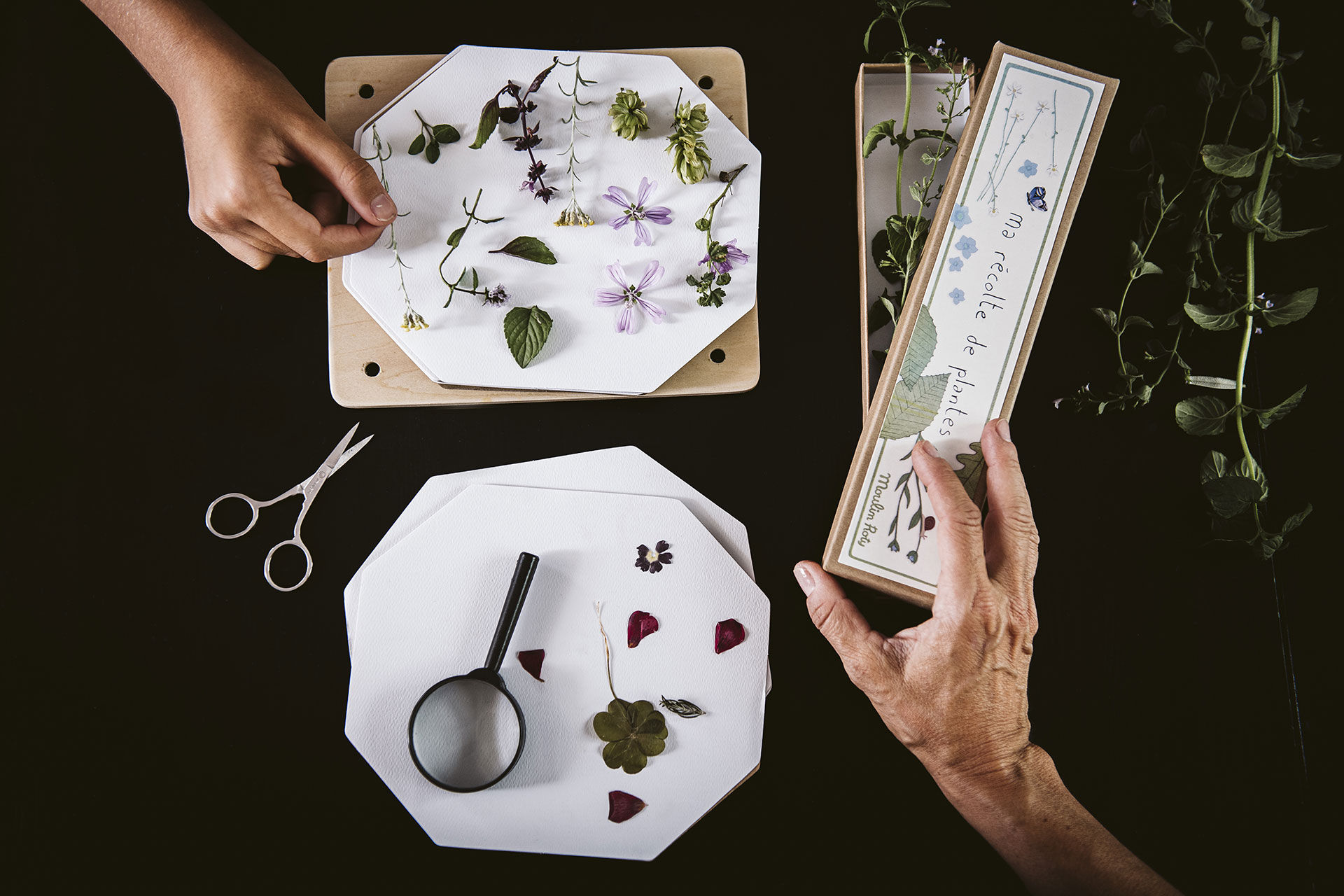 Patrizia-Poggiali_60